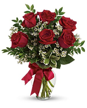 Thoughts of You Bouquet with 6 Red Roses 