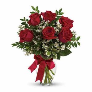 Thoughts of You Roses Bouquet 