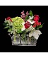 Merry Christmas Amigo Roses and Seasonal Flower Mix