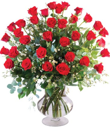 Three Dozen Red Roses Vase Arrangement in Mount Pleasant, SC | BLANCHE DARBY FLORIST OF CHARLESTON