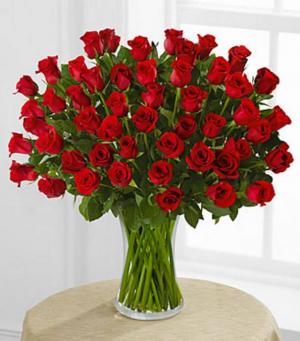 50 Long Stems Red Roses - Premium 