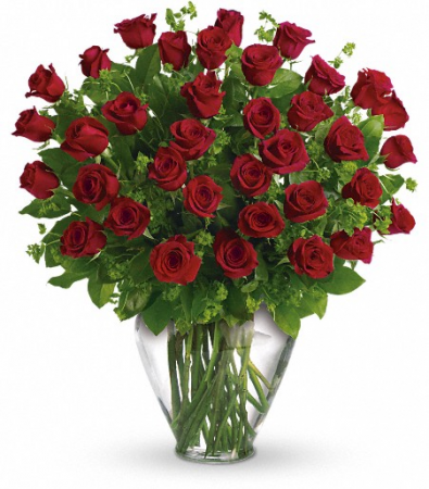 Three Dozen Red Roses!! 