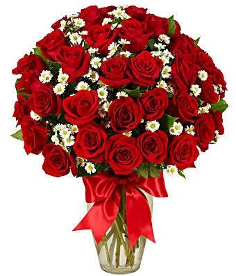 THREE DOZEN RED ROSES