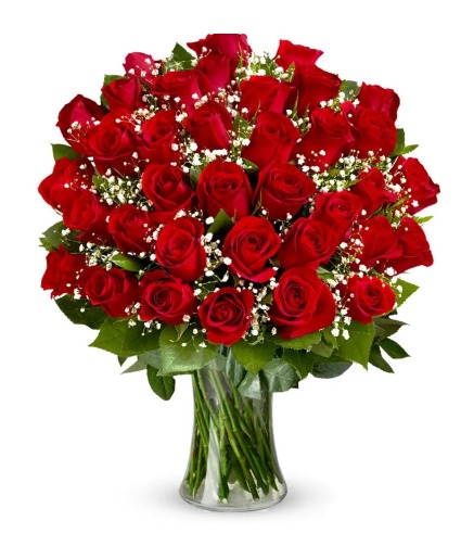 Three dozen Red Roses Floral Arrangement