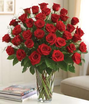 Three Dozen Red Roses Love