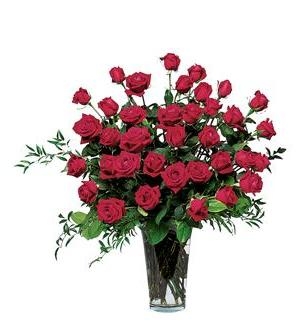 Three Dozen Red Roses Roses