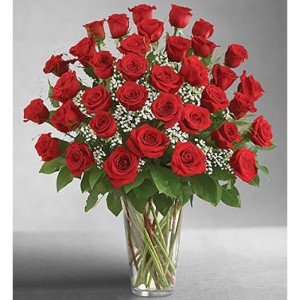Three Dozen Red Roses Vase