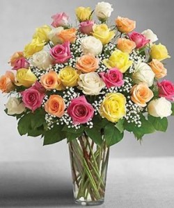 Three dozen Rose Rainbow Assortment Vase
