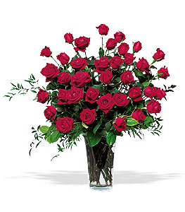 Three Dozen Ecuadorian  Roses Vase Arrangement Ecuadorian  Long Stem Roses baby's Breath & greens