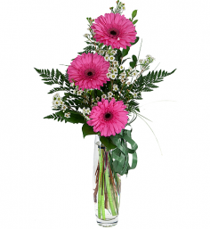 Category Image
