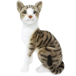 Tiger Stripe Kitty 