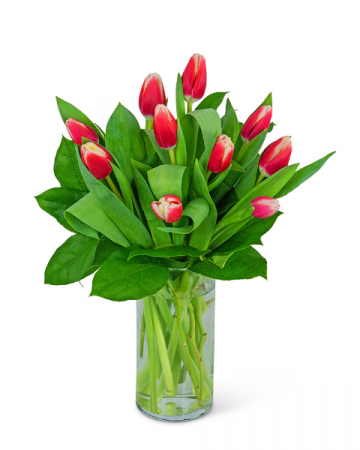 Assorted Valentine Tulips Flower Arrangement
