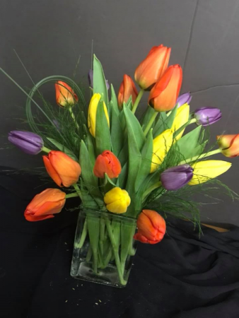 Time for Tulips