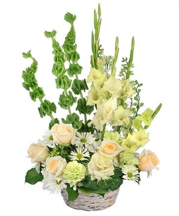Timeless Delight Basket Arrangement in Albany, NY | Ambiance Florals & Events