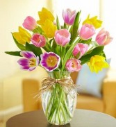 Timeless Mixed Tulips 