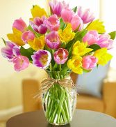 Timeless Tulips  . 3 colors in vase, Florist choice of colors