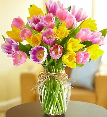 Timeless Tulips  . 3 colors in vase, Florist choice of colors in Gainesville, FL | PRANGE'S FLORIST