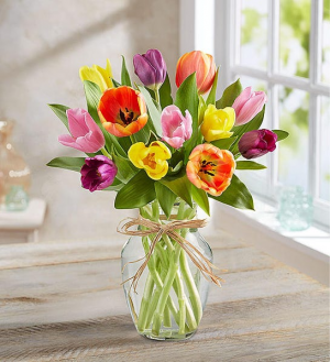 Timeless Tulips 15 Assorted Tulip Arrangement in Springfield, MO | FLOWERAMA #226 Timeless Tulips 15 Assorted Tulip Arrangement in Springfield, MO | FLOWERAMA #226