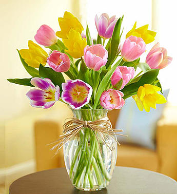 TIMELESS TULIPS