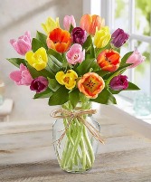 Timeless Tulips® 