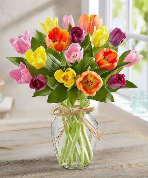 Timeless Tulips® 