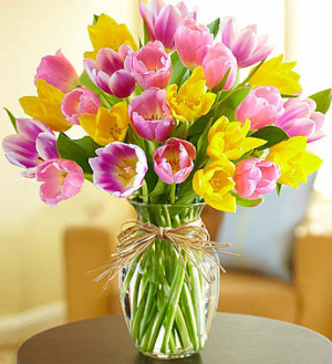 Timeless Tulips. From Roma Florist   Roma  Florist Free Delivery Order Online 