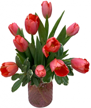Timeless Tulips Vase Arrangement