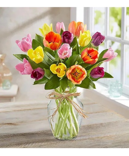 Timeless Tulips Vase arrangement