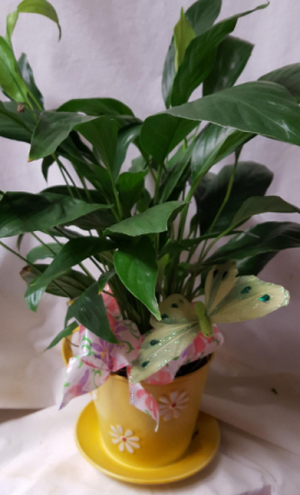 Tin Daisy Teacup with 4