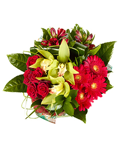 Category Image