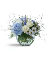 Tiny Miracle Arrangement