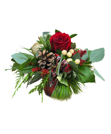 Tiny Tim 2025 Fresh arrangement