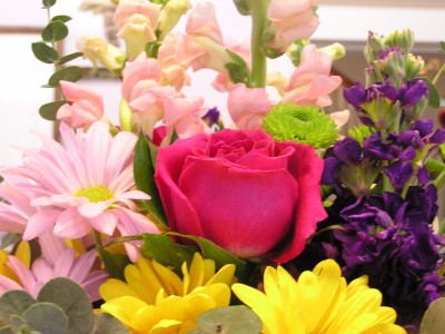 Tioga Special Mixed Assorted Spring Flowers
