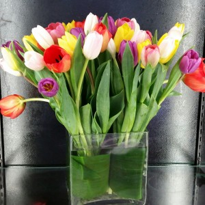 TIPPY TOP TULIPS Full of beautious tulips!!