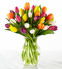 Tiptoe Through the Tulips