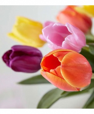 Tiptoe Through the Tulips Springy Vase Arrangement