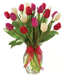 Tiptoe through the Tulips Vase Fresh Arrangment