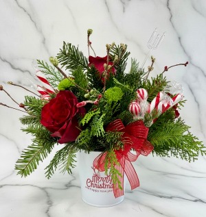 Tis the season Christmas