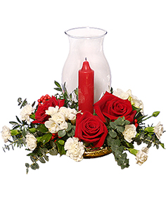 Category Image
