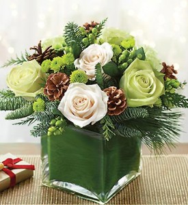 Tis the Season Modern Cube Arrangement
