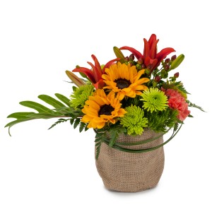 Giddy Up Fresh Flower Arrangement