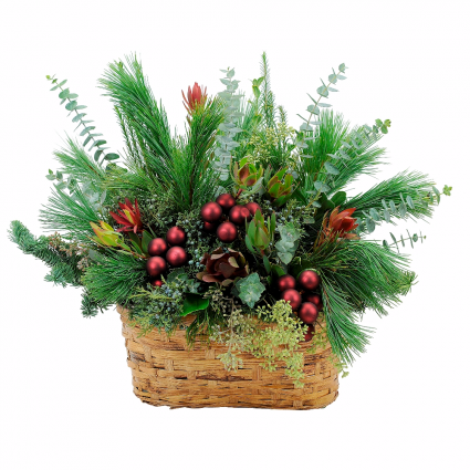 Organic Beauty Basket