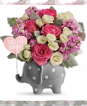 TNB06-1 Hello Sweet Baby- Girl Codified Vase