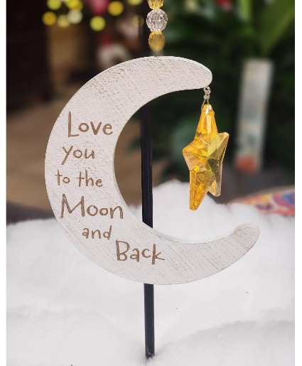 To the Moon and Back 