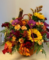 NFS-TOD3 Today's Special #3