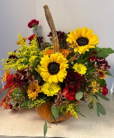 NFS-TOD3 Today's Special #3