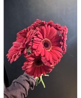 Today's Special -6  Red Gerberas 