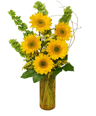 Today's Your Day! Bouquet in Worthington, OH | UP-TOWNE FLOWERS & GIFT SHOPPE