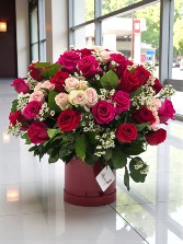 "Todo mi amor" Valentine 2026