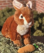 Toffee Brown Bunny  Gifts